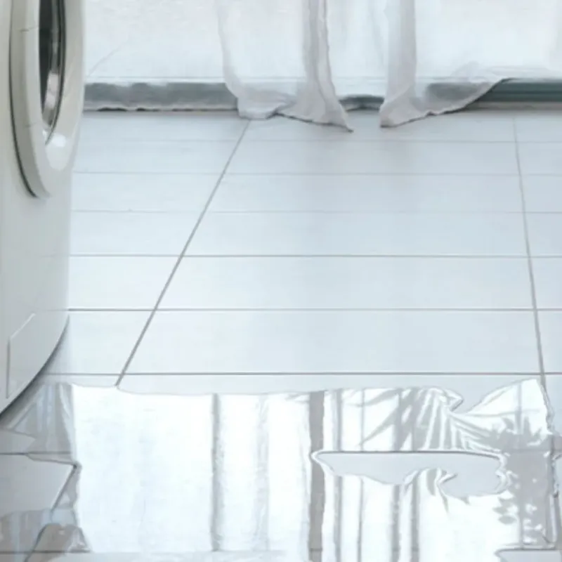 Appliance Leak Cleanup in Mosheim, TN