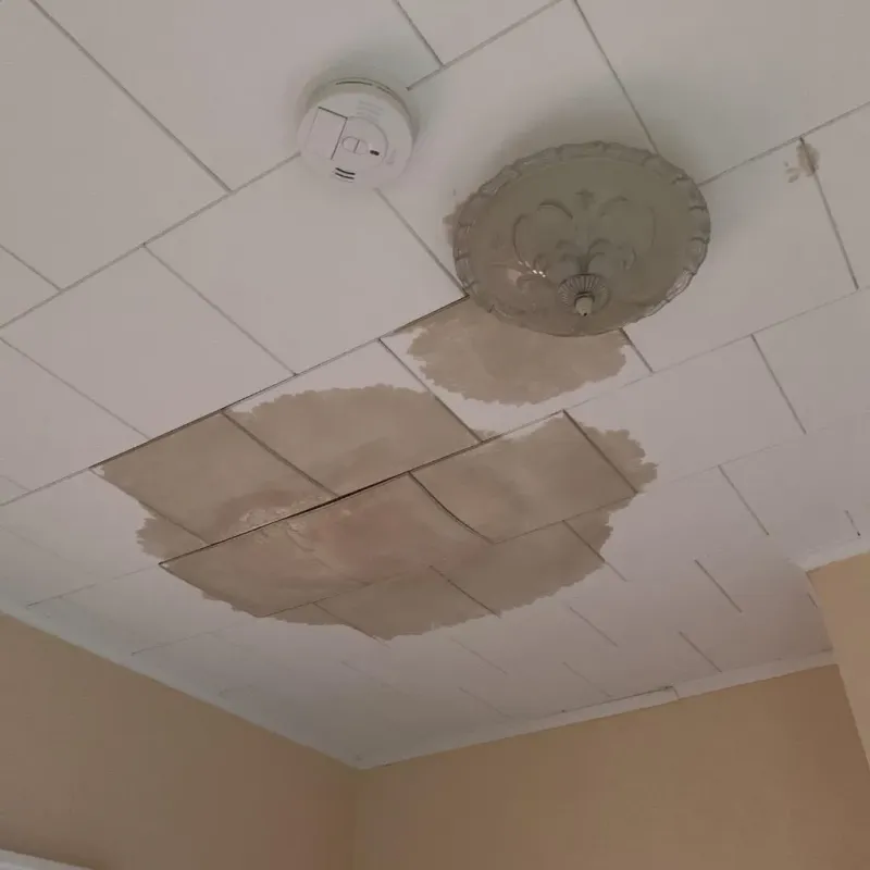 Ceiling Water Damage Repair in Mosheim, TN