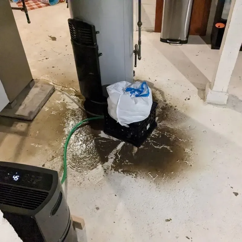 Sewage Backup Cleanup Service in Mosheim, TN